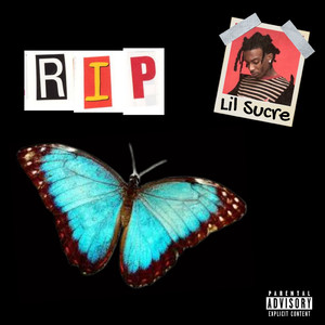 国产一级a毛一级看免费视频
