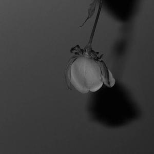 国产一级a毛一级看免费视频
