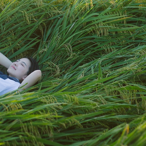 国产一级a毛一级看免费视频
